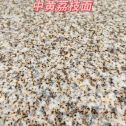 陕西黄金麻中黄荔枝面