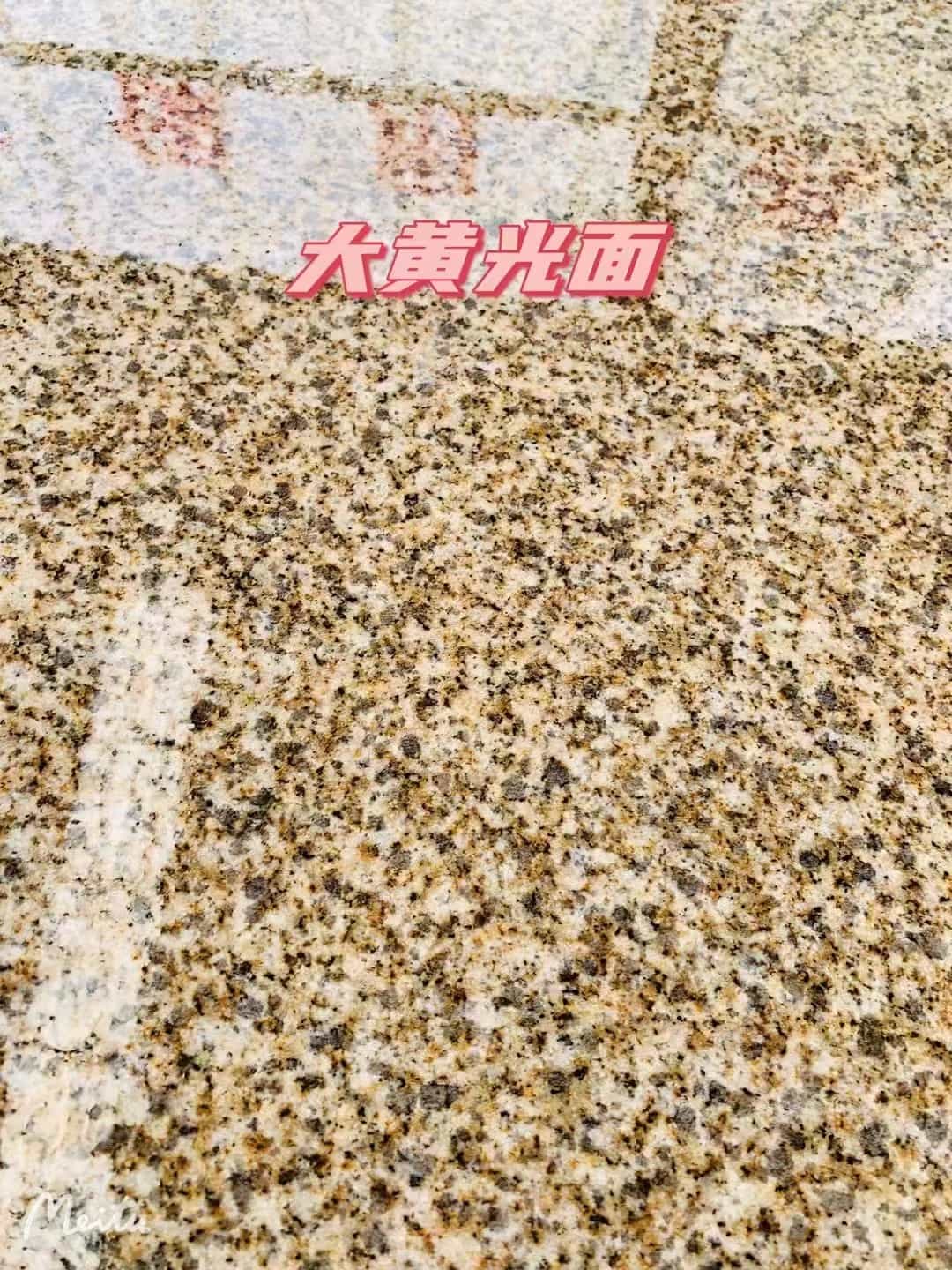 陕西黄金麻大黄光面