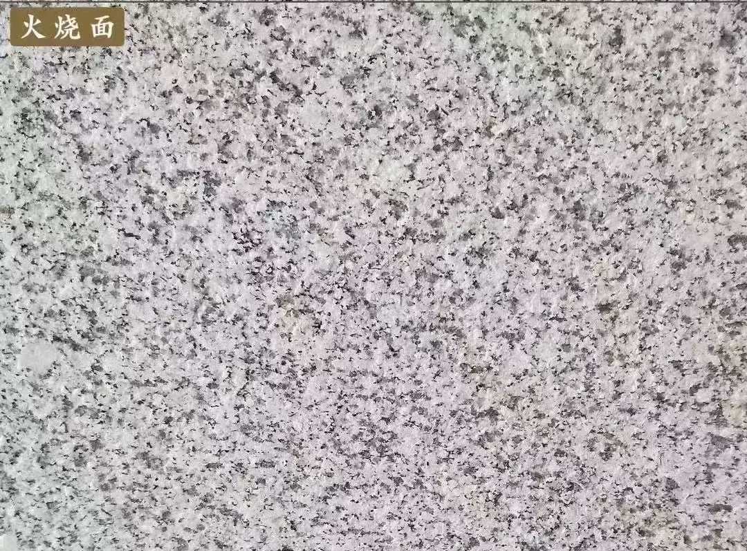 陕西白麻火烧面