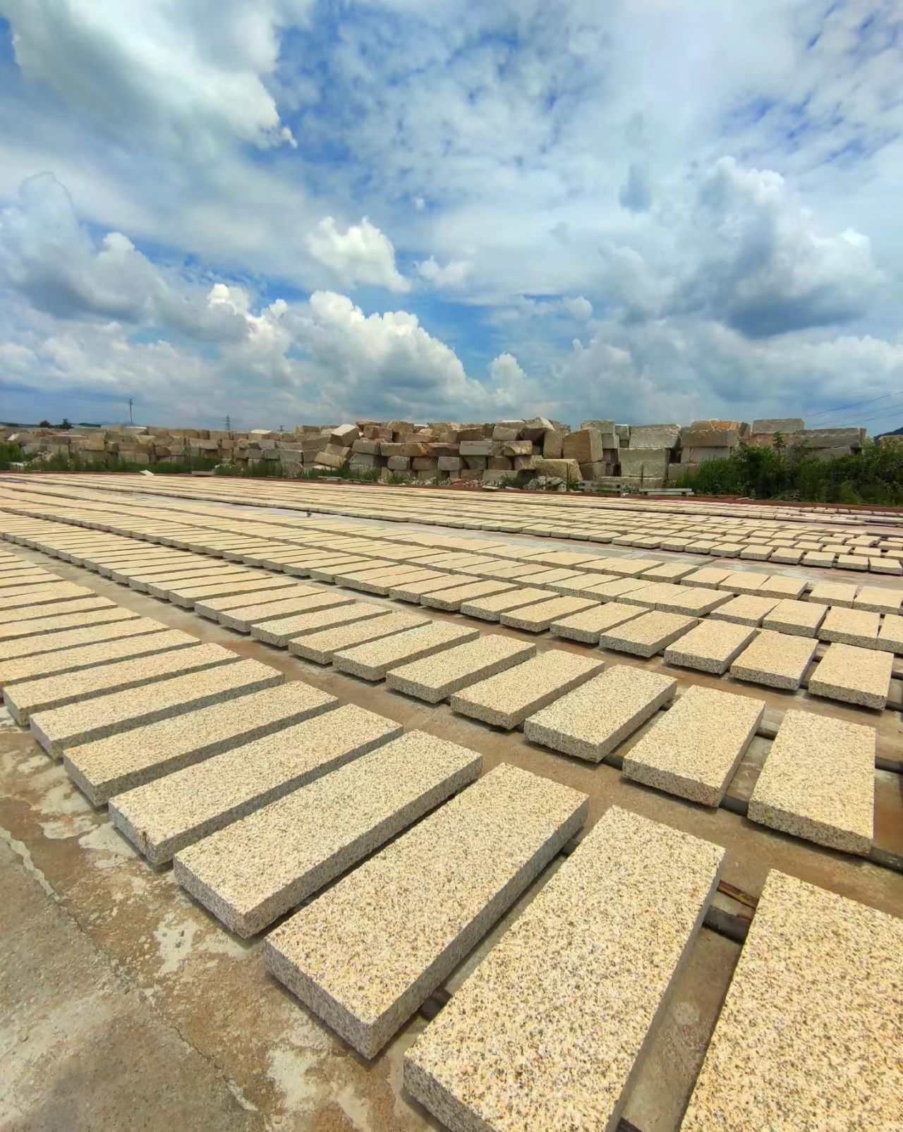 陕西 黄金麻花岗岩荔枝面地铺石防护中